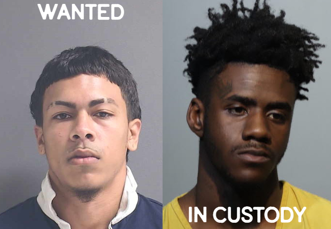 1 In Custody, 1 At Large After Carjacking At Deltona Smoke Shop Image