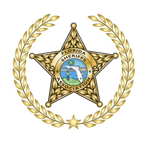 Deputy Justin Ferrari of the Volusia County Sheriff’s Office Honored as the 2017 Florida Sheriffs Association’s Law Enforcement Officer of the Year Image
