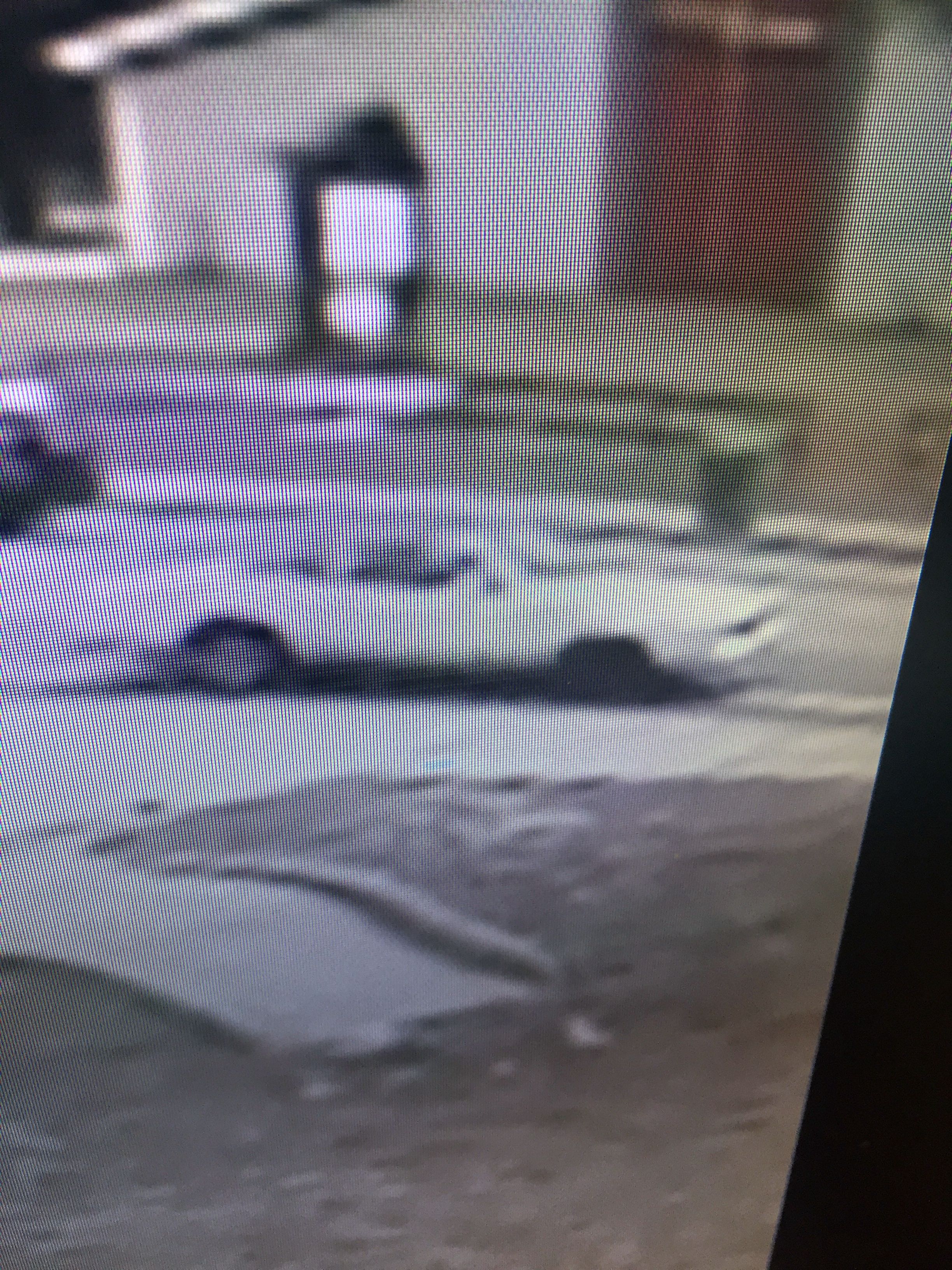 VCSO Seeks Driver in Deltona Hit-Run Crash; Teen Seriously Injured | VSO